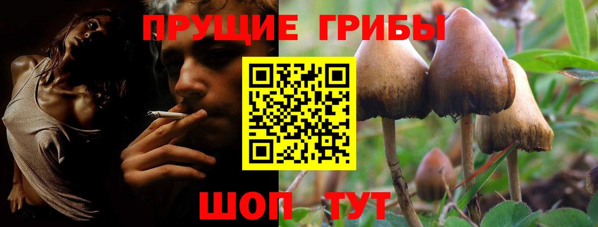 Новочеркасск  Псилоцибиновые грибы ЛСД  купить закладку  Вход с VPN  Галлюциногенные грибы мухоморы 