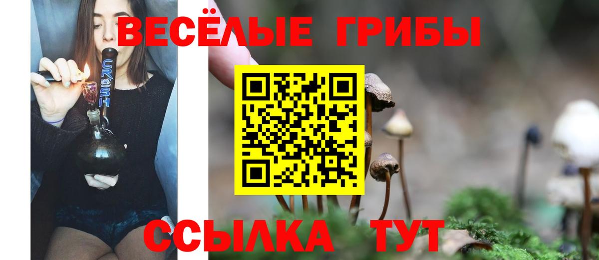 Псилоцибиновые грибы мухоморы Новочеркасск
